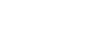 Avada Agency