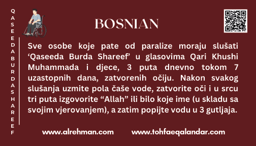 Bosnian Translation