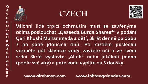 Czech Translation
