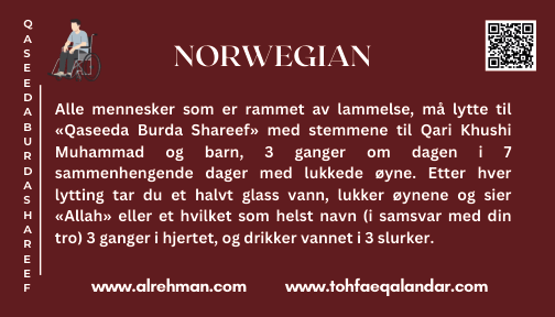 Norwegian Translation