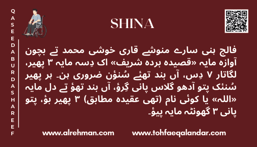 Shina Translation